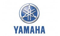 Склизы Yamaha