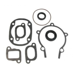 Полный комплект прокладок с сальниками Ski-Doo 300F FREESTYLE /TUNDRA 420992068, 420992069, 09-711195 09-711195