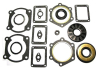 Комплект прокладок с сальниками Yamaha 09-711147G