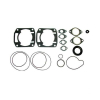 Комплект прокладок с сальниками Arctic Cat 550 Bearcat 95-02 SPI 3003-763 3003-503 3003-764 3003-765 3005-188 3003-759 09-711189 09-711189