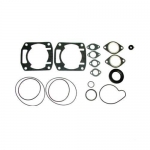 Комплект прокладок с сальниками Arctic Cat 550 Bearcat 95-02 SPI 3003-763 3003-503 3003-764 3003-765 3005-188 3003-759 09-711189 09-711189