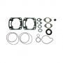 Комплект прокладок с сальниками Arctic Cat 550 Bearcat 95-02 SPI 3003-763 3003-503 3003-764 3003-765 3005-188 3003-759 09-711189 09-711189