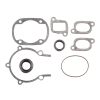 Комплект прокладок с сальниками Ski-Doo SPI 09-711195 420992068, 420992069