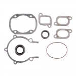 Комплект прокладок с сальниками Ski-Doo SPI 09-711195 420992068, 420992069
