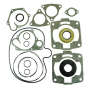 Комплект прокладок с сальниками Polaris 09-711230	