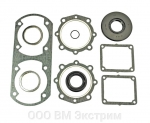 Комплект прокладок с сальниками Yamaha 09-711239