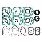 Комплект прокладок с сальниками Ski Doo 09-711255 420888601, 420888603