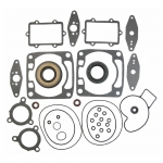 Комплект прокладок с сальниками Arctic Cat SPI 09-711275  3006-493, 3006-516, 3003-335, 3006-490, 3003-759, 3003-367