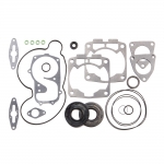 Комплект прокладок с сальниками Polaris SPI 09-711297 5415026,5412091, 5812494, 5411359, 5410932, 5413036, 5411411, 5811838