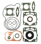 Прокладки двигателя для снегохода Polaris 09-711300 5411394, 5412798, 5414096, 5813249, 5410932, 5411359, 5411411, 5411521,  5413036, 5813025, 5812925, 5811601, 5411197, 5412942