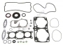 Комплект прокладок с сальниками Polaris 09-711310