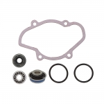  Ремкомплект помпы охлаждения SPI для Ski-doo 10-721312 /420950890 / 420230196 / 420232100 / 420650370 / 420430050 / 721312 / 420230195 / 125-90961