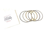 Кольца поршневые Kawasaki KVF 750 /Teryx 750 12+ 13008-0042 13008-0042