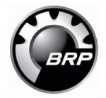 Наклейка BRP LOGO BRP 219902677