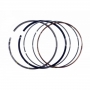 Поршневые кольца оригинальные для квадроцикла Polaris Sportsman RANGER RZR 800 (05-16) 2202920