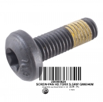 Винт SCREW-PAN HD.TORX S.GRIP GM6046M 250000624 / 250000848