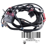 CABLAGE PRINC. *WIRING HARNESS  Электропроводка в сборе, для гидроцикла 278002161