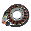 PLAQUE REACTEUR*STATOR ASSY  Статор магнето 420296909