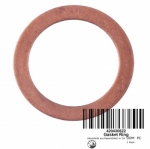 Прокладка кольцо GASKET RING  420430622