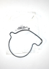 Прокладка помпы оригинальная для BRP Can-Am 420651190