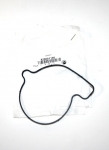 Прокладка помпы оригинальная для BRP Can-Am 420651190