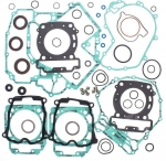 GASKET SET  Комплект прокладок двигателя (400) 420684125