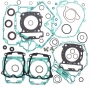 GASKET SET  Комплект прокладок двигателя (400) 420684125