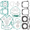 GASKET SET  Комплект прокладок двигателя (V650) 420684144