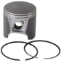Поршень с кольцами PISTON ASSY 88.16MM 290889046 / 420889046