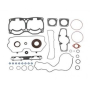 ENS.JOINT ETAN.*GASKET SET ENGINE  Набор прокладок двигателя Rotax 995 SDI 420891131