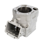 CYLINDER-NICASIL  Цилиндр (Rotax 793 00-04) 420923817
