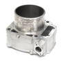 CYLINDRE ASS.  *CYLINDER ASSY  цилиндр 420923948