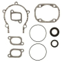 ENS.JOINT ETANC*KIT-GASKET  Набор прокладок двигателя Rotax 277 420992068