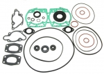 Набор прокладок двигателя Rotax 494 ENS.JOINT ETANC*KIT-GASKET 420994226