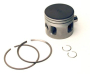 PSTN RING KIT.030" Поршень с кольцами 5006666