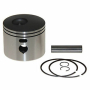 Поршень с кольцами PSTN RNG KIT,.030"  5006736