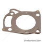 GASKET,CYL HEAD Резиновая прокладка для мотора 5033342