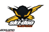Наклейки оригинальные Ski - Doo X-Team Bee 516006301