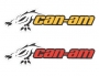 Наклейка Can-Am 704901480 (15х5) 
