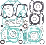 Комплект прокладок двигателя BRP 800 G1 420651211  420651190  420630260  420230515  420684150  420684151  420650300  420630195  420630210 808956