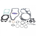 Полный комплект прокладок двигателя с сальниками Arctic Cat 650 H1 /MudPro Winderosa 811928 811928