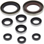 Набор сальников двигателя Polaris Outlaw 525 07-11 /KTM 450/525 XC 08-09 822335 /182-2335 822335