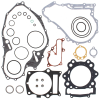 Комплект прокладок двигателя Yamaha Raptor 700 Grizzly 700 2006-2012 808923 5H0-12119-00-00  1S3-12428-00-00  93210-61750-00  3B4-11181-00-00  93210-96601-00  93210-78544-00  90430-08119-00  1S3-11351-00-00  1S3-15451-00-00  1S3-15462-00-00  93210-357A3-00  1AS-W0001-00-00  3YF-14613-01-00  93210-64297-00 DP0301