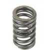 Пружина клапанов Kawasaki BRUTE FORCE 750 KVF750 /KVF650 /Teryx 800 KRT800 /Teryx 750 KRF750 49078-0014 /CS85 CS85