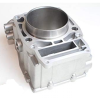 Цилиндр двигателя Polaris Sportsman 500 /Ranger 500 /Scrambler 500 96-10 3089256 /3086811 /3085369 /3085526 /3085634 CY100
