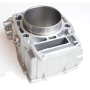 Цилиндр двигателя Polaris Sportsman 500 /Ranger 500 /Scrambler 500 96-10 3089256 /3086811 /3085369 /3085526 /3085634 CY100