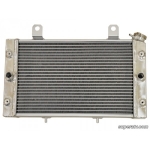 Радиатор для Yamaha Rhino 700 5B4-E2461-00-00 HDR-P-RHI