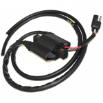 Катушка зажигания Polaris Sportsman 700/600 2004-2006 4010898 IC233CA