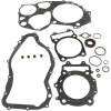 Комплект прокладок ЦПГ с сальниками Arctic Cat PROWLER 550 2009-2015 0830-116 /0830-097 /0830-084 /0830-186 /0830-018 /NA-11011F NA-11011F
