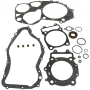 Комплект прокладок ЦПГ с сальниками Arctic Cat PROWLER 550 2009-2015 0830-116 /0830-097 /0830-084 /0830-186 /0830-018 /NA-11011F NA-11011F